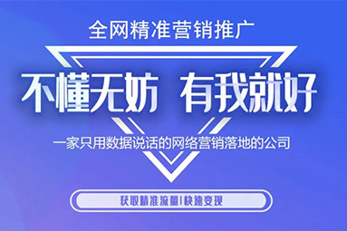 網絡推廣的必要性